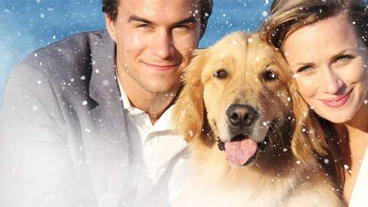 A Golden Christmas 3 - Backdrop