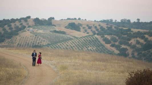 Destination Wedding - Backdrop