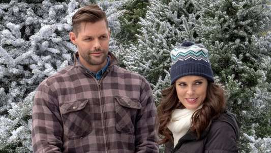Last Vermont Christmas - Backdrop