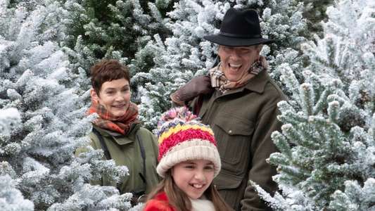 Last Vermont Christmas - Backdrop