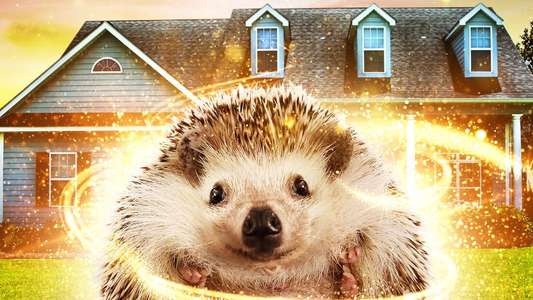 Andy the Talking Hedgehog - Backdrop