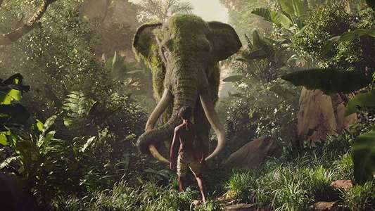Mowgli: Legend of the Jungle - Backdrop