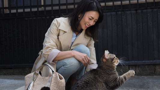 Neko to Jii-san - Backdrops