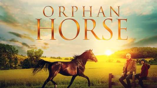 Orphan Horse - Backdrop