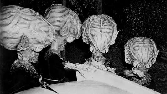 Invasion of the Saucer-Men - Backdrops