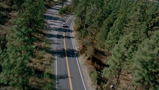 Shadow of Fear - Backdrops