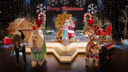 Puppy Star Christmas - Backdrops