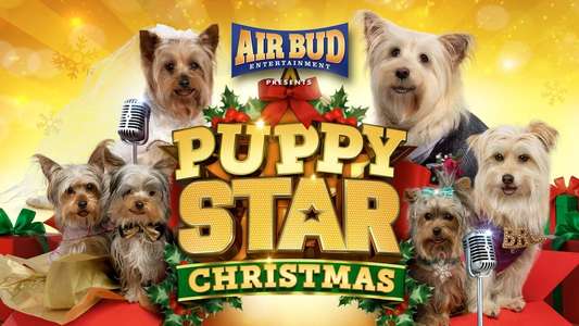 Puppy Star Christmas - Backdrops