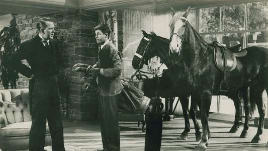 The Caddy - Backdrop
