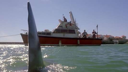 Shark Attack 2 - Backdrops