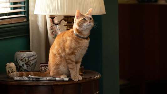 The Marvels - Backdrops