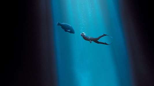 Blueback - Backdrops