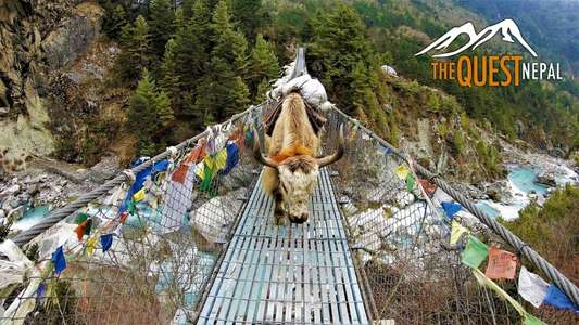 The Quest: Nepal - Backdrop