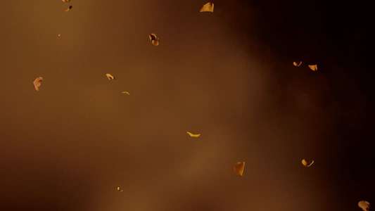 The Hunger Games: The Ballad of Songbirds & Snakes - Backdrop