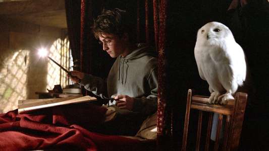 Harry Potter and the Prisoner of Azkaban - Backdrops