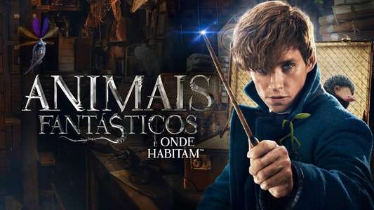 Fantastic Beasts and Where to Find Them - Backdrops