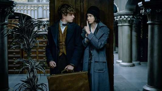 Fantastic Beasts and Where to Find Them - Backdrops
