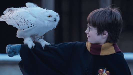 Harry Potter and the Philosopher's Stone - Backdrops