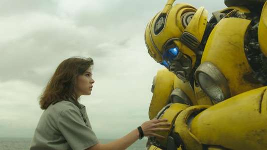 Bumblebee - Backdrops