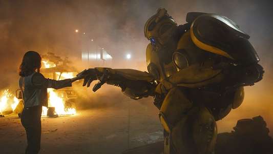 Bumblebee - Backdrops