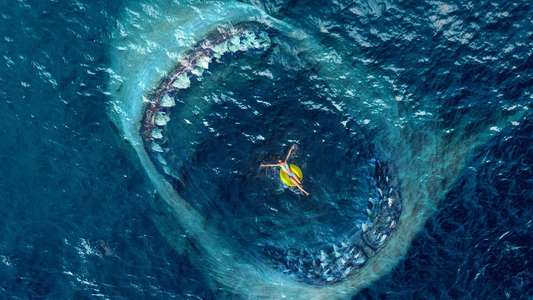 The Meg - Backdrop