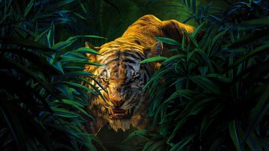The Jungle Book - Backdrops