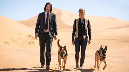John Wick 3: Parabellum - Backdrop