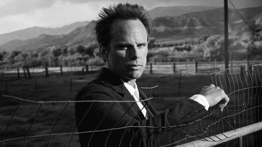 Justified - Backdrops