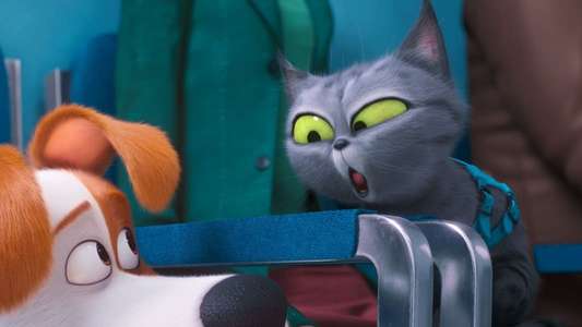 The Secret Life of Pets 2 - Backdrops