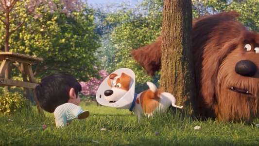 The Secret Life of Pets 2 - Backdrops