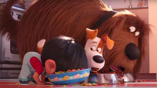 The Secret Life of Pets 2 - Backdrops