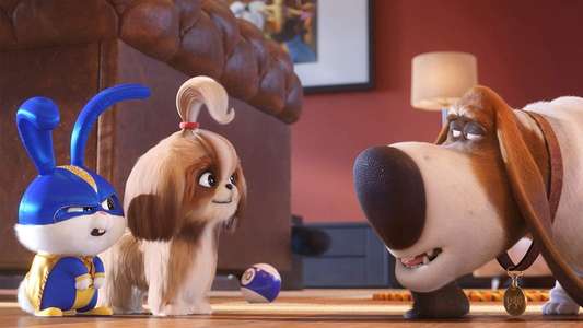 The Secret Life of Pets 2 - Backdrops
