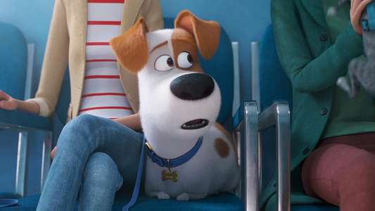 The Secret Life of Pets 2 - Backdrops