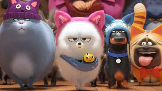 The Secret Life of Pets 2 - Backdrops