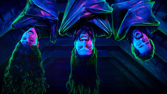 What We Do in the Shadows - Backdrops