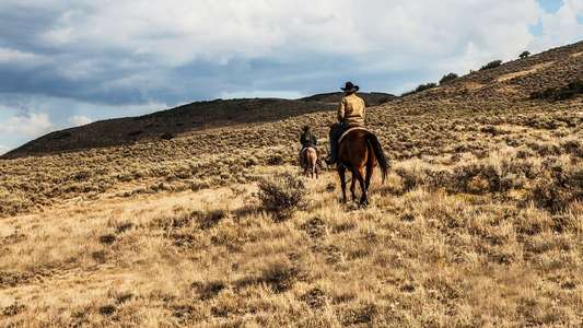 Yellowstone - Backdrops