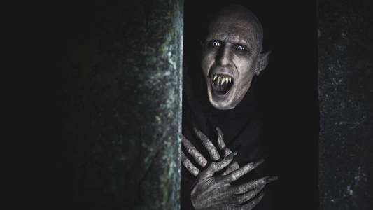 What We Do in the Shadows - Backdrops