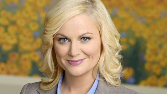 Parks and Recreation - Backdrops