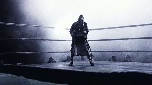 Raging Bull - Backdrop