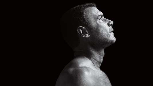 Ray Donovan - Backdrops