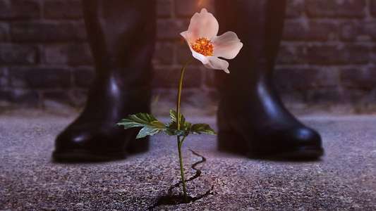 The Man in the High Castle - Backdrops