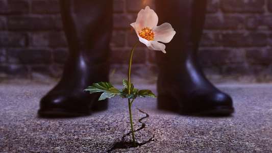 The Man in the High Castle - Backdrops