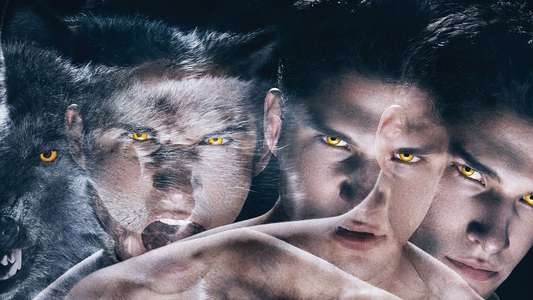 Teen Wolf - Backdrop