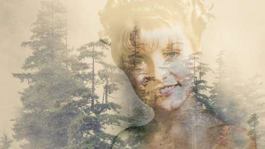 Twin Peaks - Backdrops