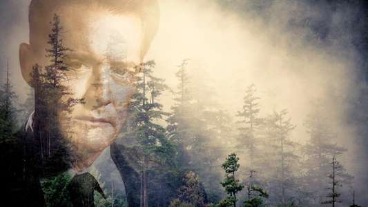 Twin Peaks - Backdrops