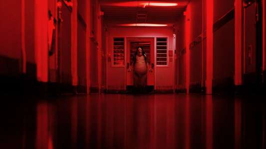 Scary Stories to Tell in the Dark - Backdrop