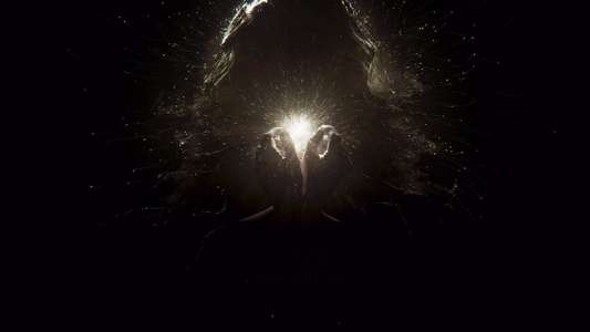 Shadow and Bone - Backdrops