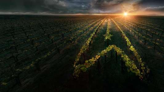 Star Trek: Picard - Backdrops