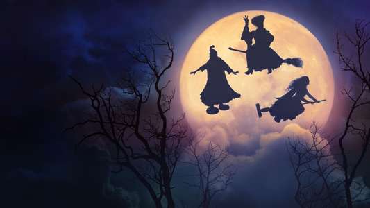 Hocus Pocus 2 - Backdrops