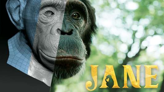 Jane - Backdrops